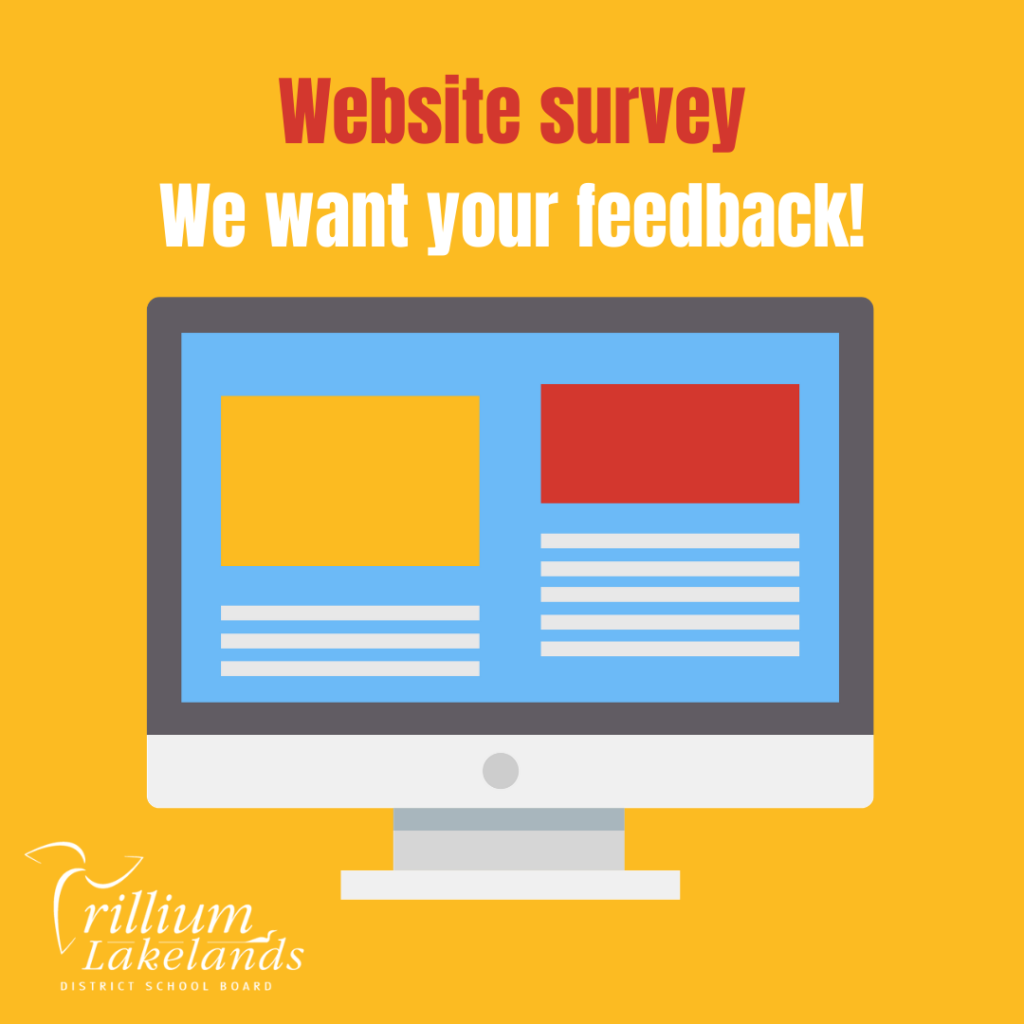 Website survey
