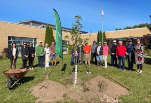 Bobcaygeon Public School receives grant to plant 27 trees