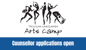 TLAC 2025 counsellor apps - website