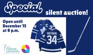 Dec 2025 online auction - website graphipc reminder