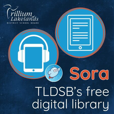 Sora - newsletter graphic spring 2026